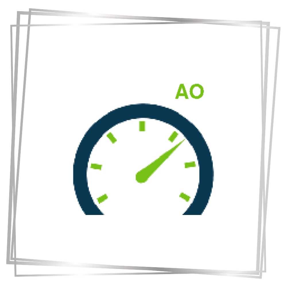 autoptimize plugin | Die WP-Meister