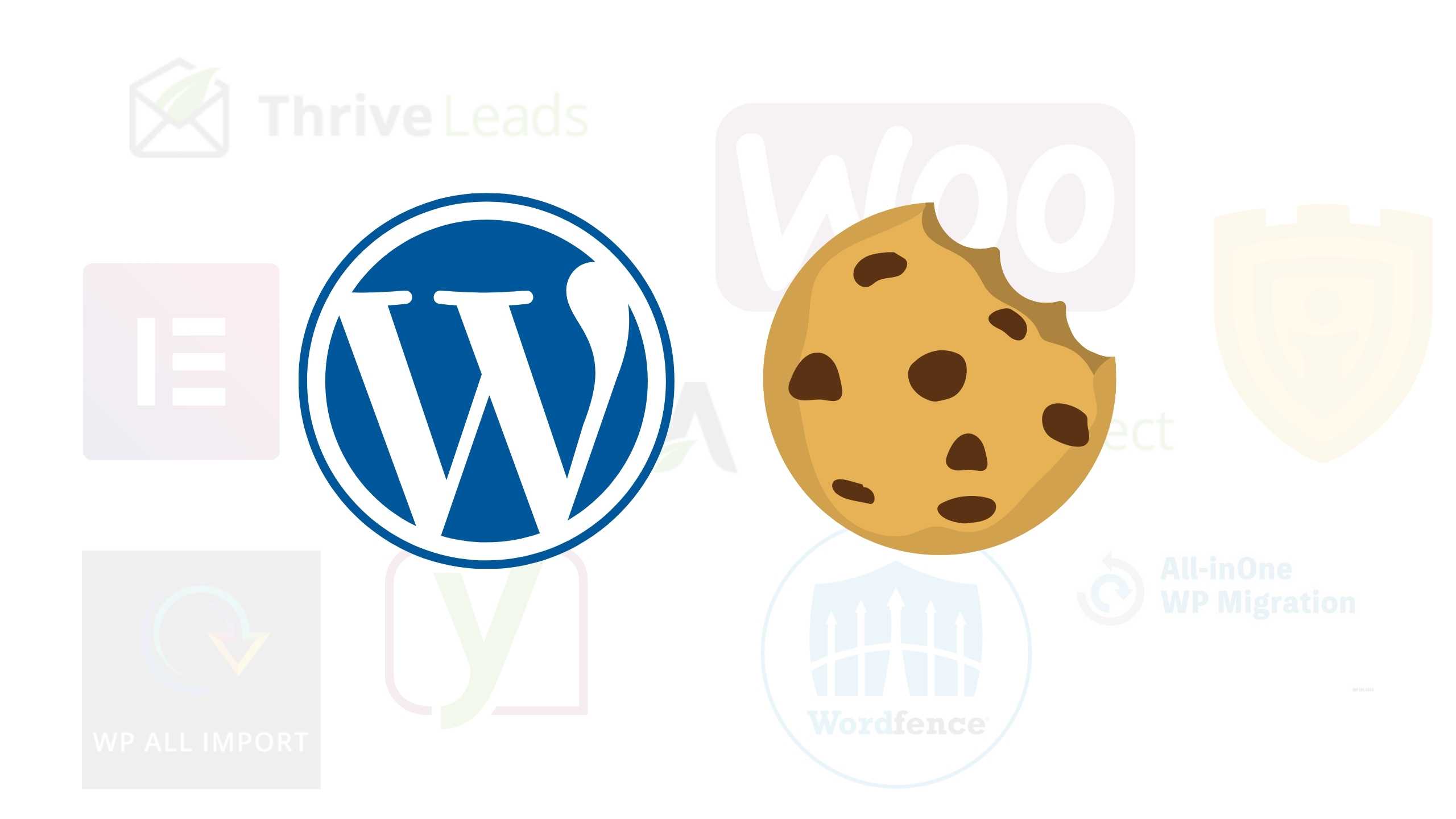 Cookie Banner für WordPress