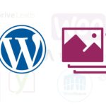 Wordpress Galerie Plugins