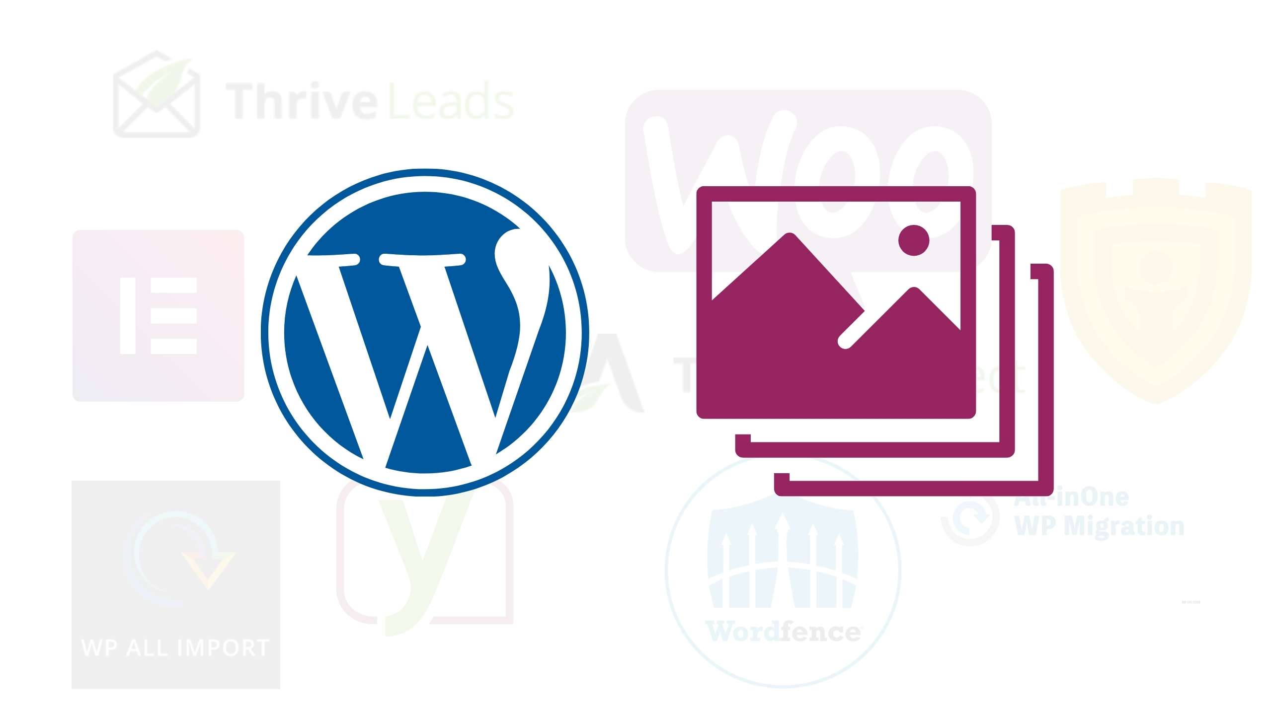 Wordpress Galerie Plugins