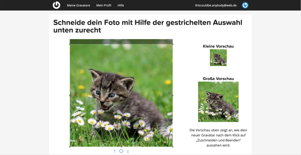 Bild Gravatar Format zuschneiden