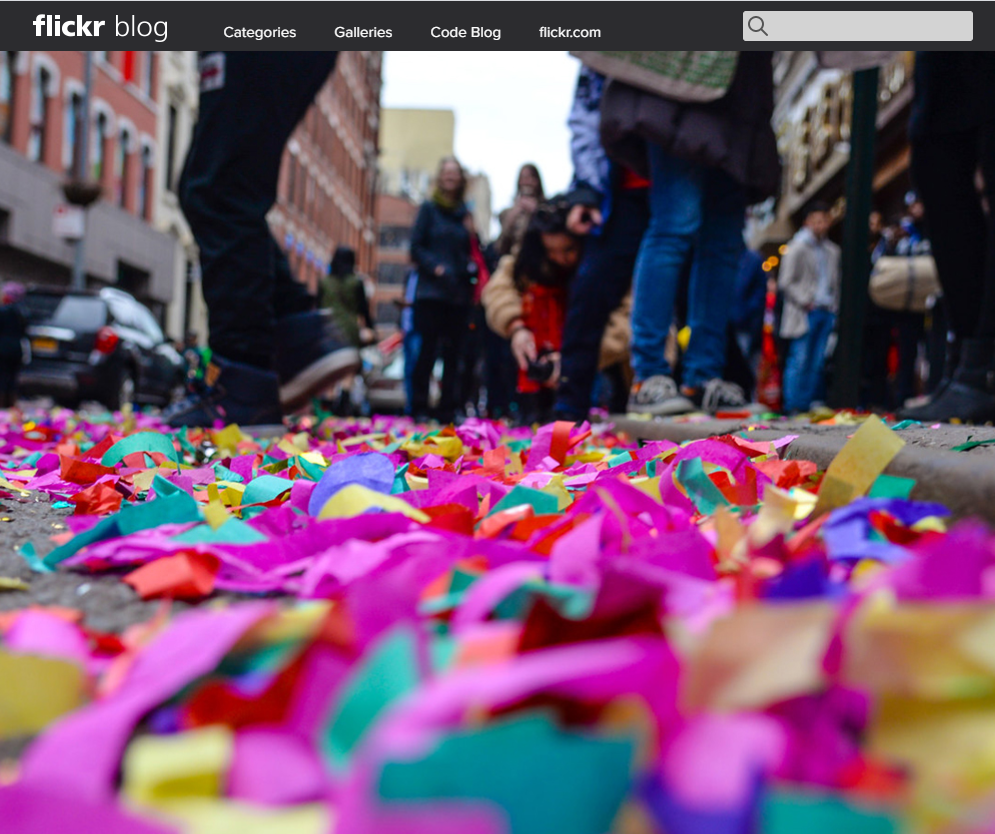 image 10 | Die WP-Meister