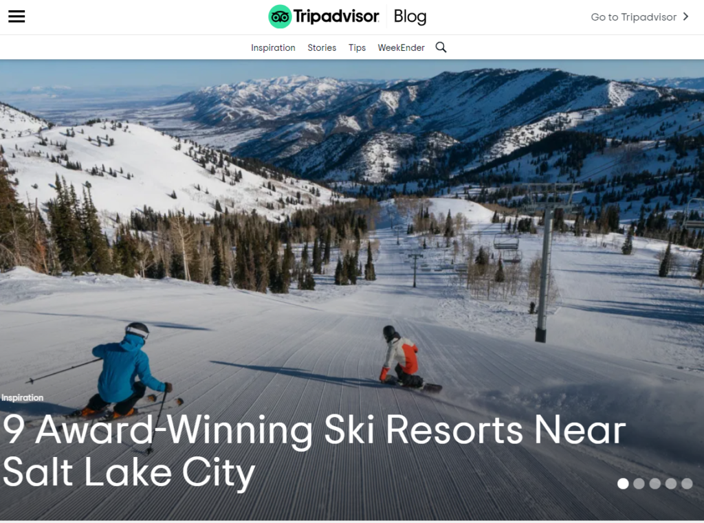 image 12 | Die WP-Meister