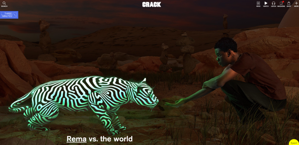 image 2 | Die WP-Meister