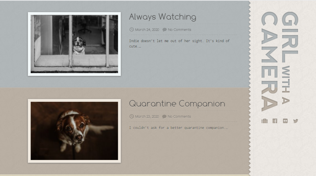 image 9 | Die WP-Meister