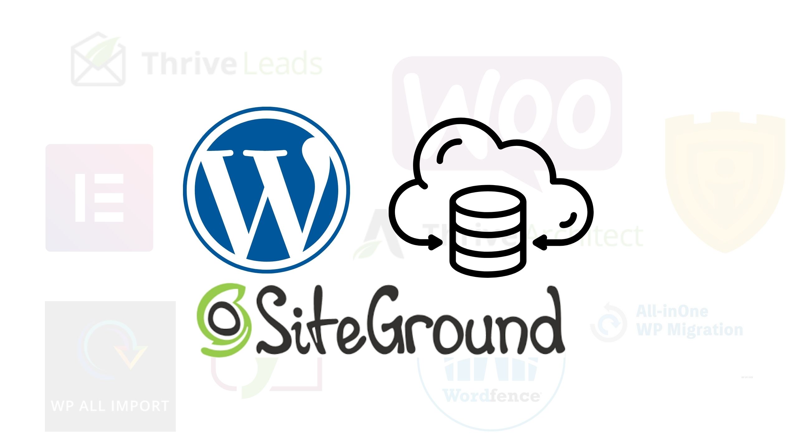 Wordpress hosting mit siteground