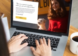 WordPress Webdesign Franzis Hundetraining