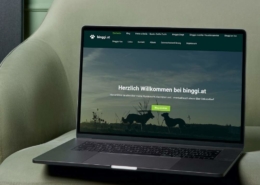 binggi.at | Die WP-Meister