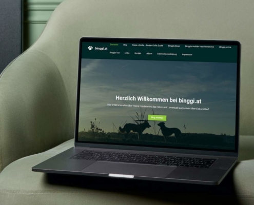 binggi.at | Die WP-Meister