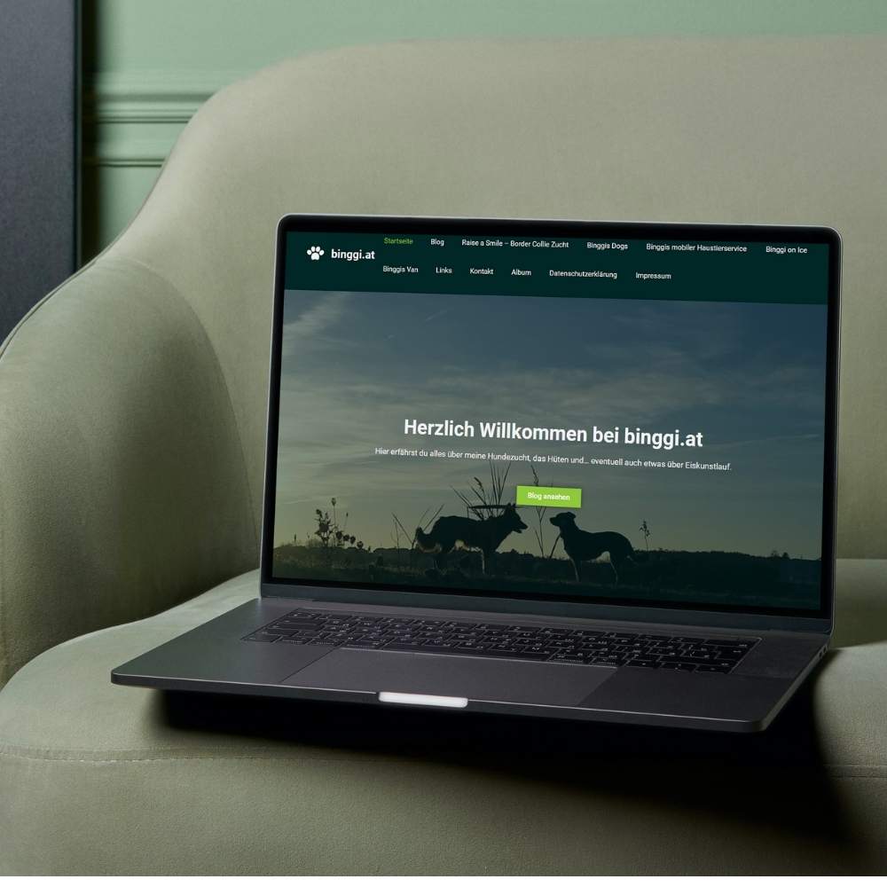 binggi.at | Die WP-Meister