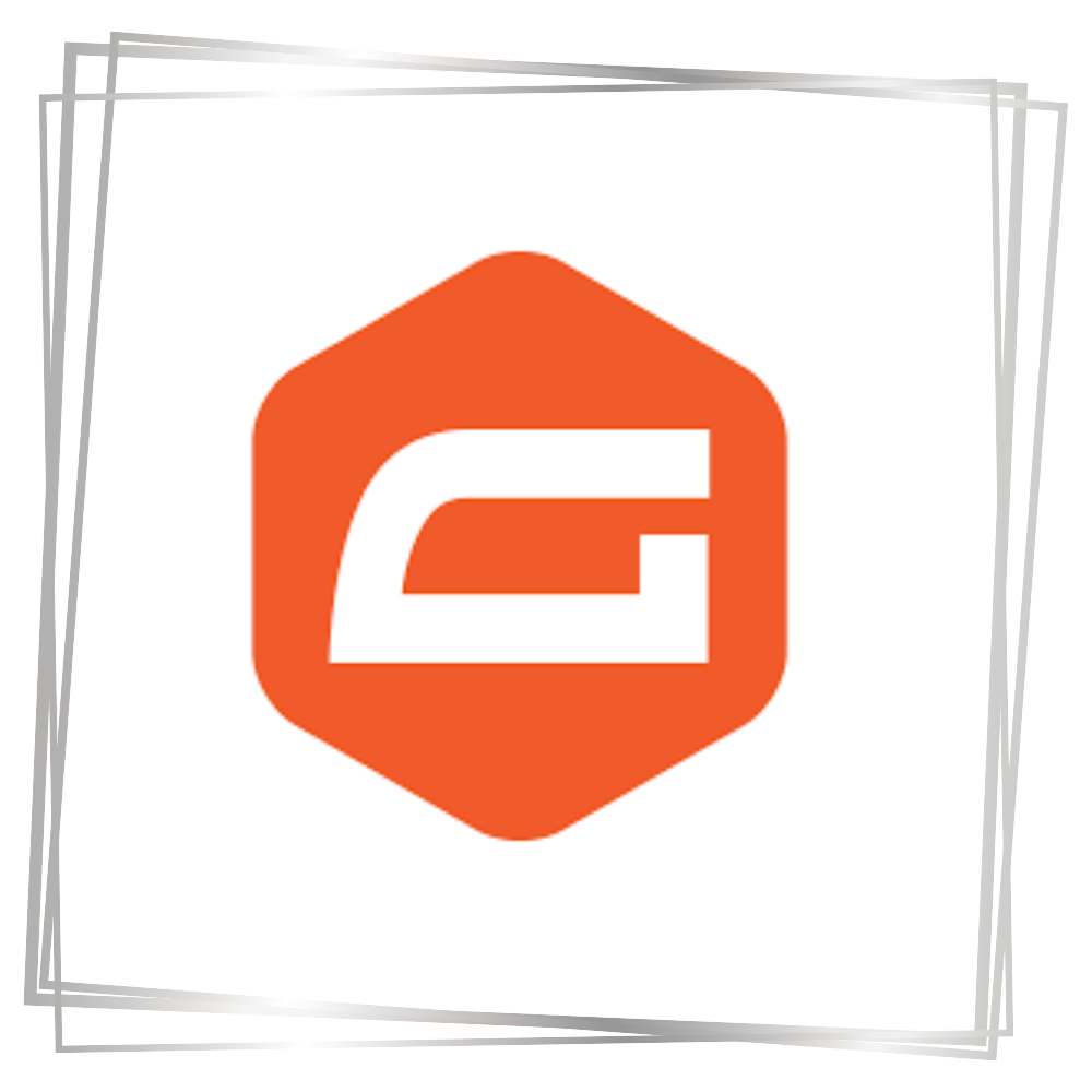 Gravity Forms Formularplugin