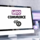 Einbau von WooCommerce in bestehende WordPress-Seite: Geht das?
